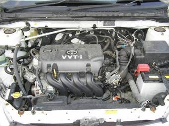 2003 Toyota Corolla Pictures