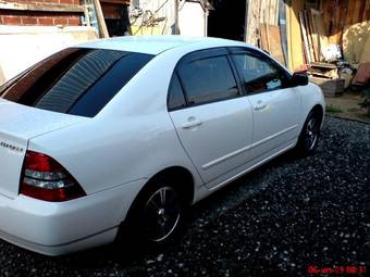 2003 Toyota Corolla For Sale