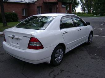 2003 Toyota Corolla Pictures