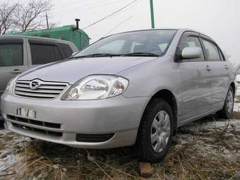 Corolla