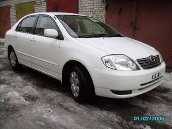 2004 Corolla