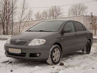 2004 Corolla