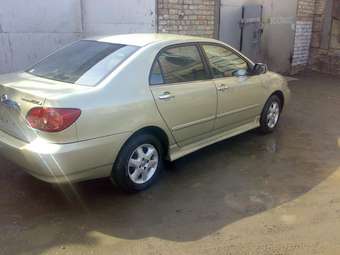 2004 Corolla