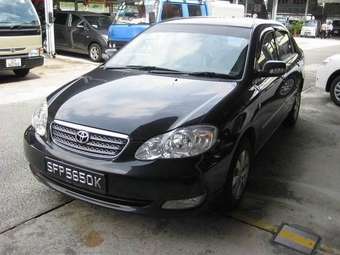 2004 Corolla