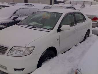 2004 Corolla