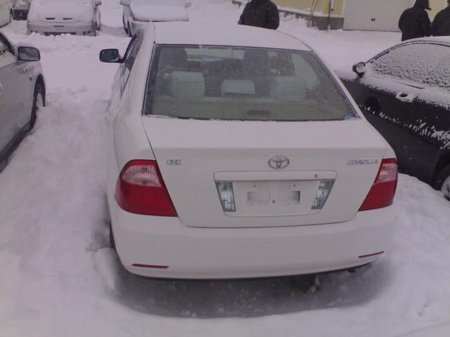 2004 Toyota Corolla