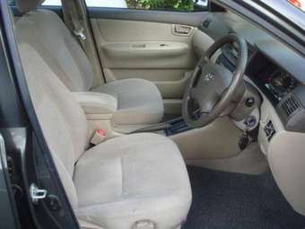 2004 Corolla