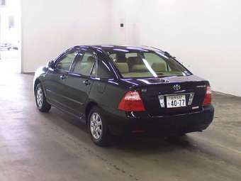 2004 Corolla