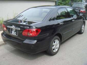 Toyota Corolla