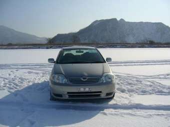 2004 Toyota Corolla