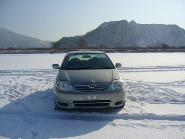 2004 Toyota Corolla