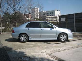 2004 Corolla