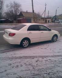 Corolla