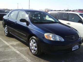 2004 Toyota Corolla Pictures