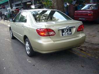 2004 Toyota Corolla Pics