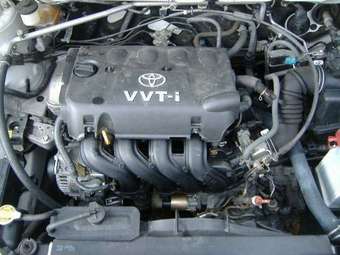 2004 Toyota Corolla Pictures