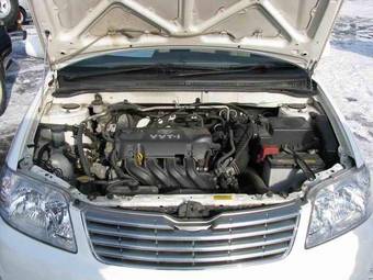 2004 Toyota Corolla Pictures