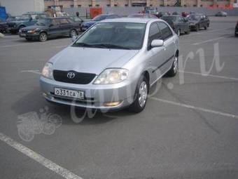 2004 Toyota Corolla Pictures