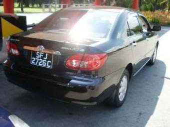 2004 Toyota Corolla Pictures