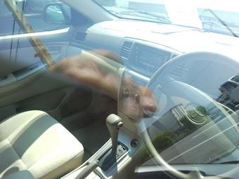 2004 Toyota Corolla For Sale