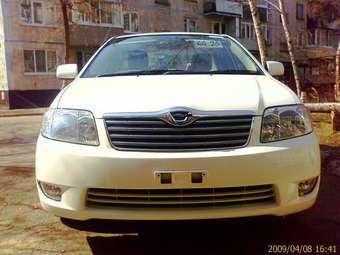 Corolla