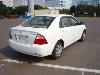 2005 Corolla