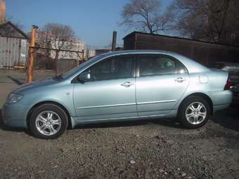 2005 Corolla