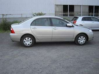 2005 Toyota Corolla Images