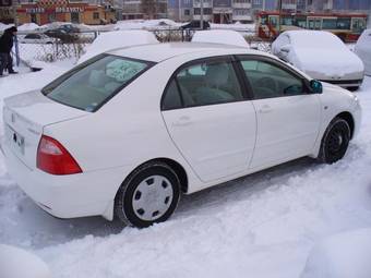 2005 Toyota Corolla Pictures