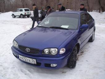 2005 Toyota Corolla Pictures