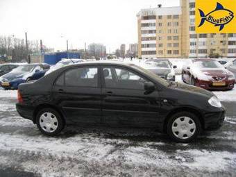 2005 Toyota Corolla Pictures