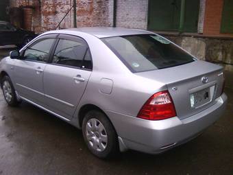 2005 Toyota Corolla Pictures