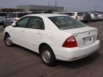Corolla