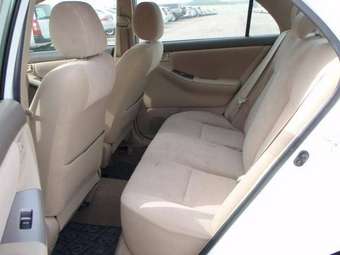 2006 Corolla