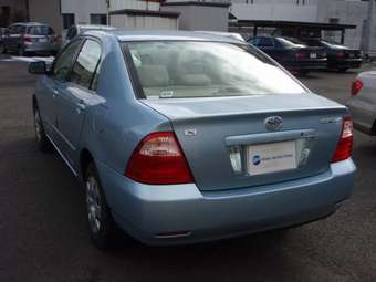 2006 Corolla
