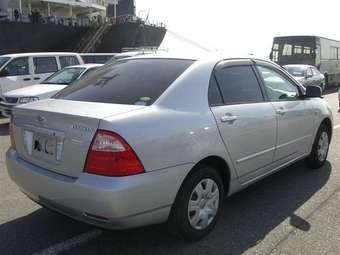 Corolla