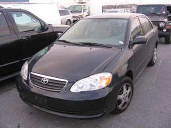 2006 Toyota Corolla Pictures