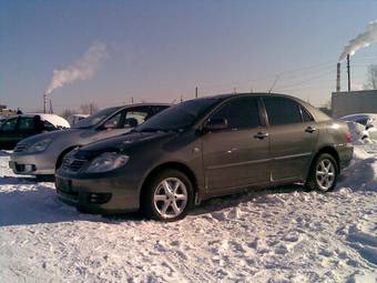 2006 Toyota Corolla Pictures