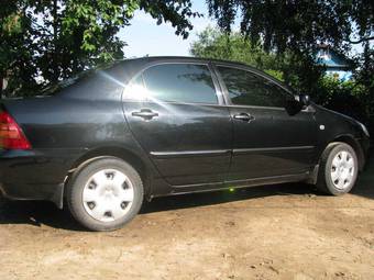 2006 Toyota Corolla Pictures