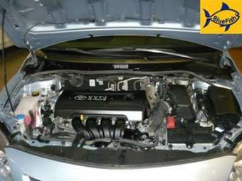 2007 Toyota Corolla Pictures