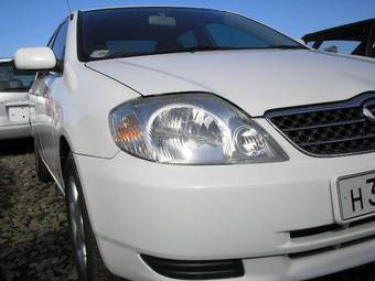 2007 Toyota Corolla Pictures