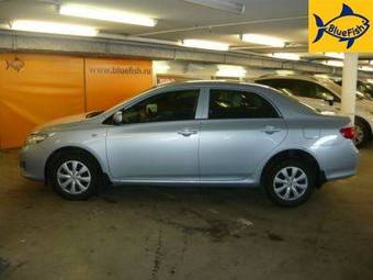2007 Toyota Corolla Pictures