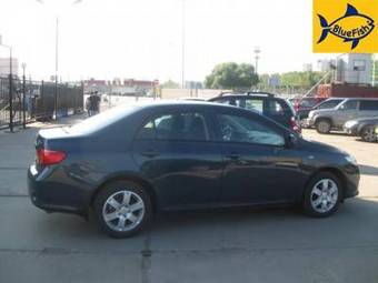 2007 Toyota Corolla Pictures
