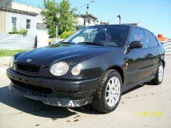 2008 Toyota Corolla Pictures