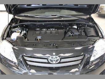 2008 Toyota Corolla Pictures