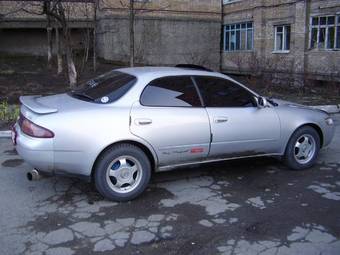 Corolla Ceres