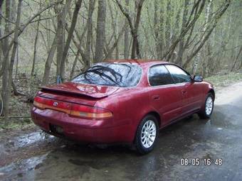 Corolla Ceres