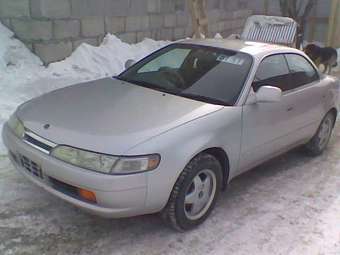 Toyota Corolla Ceres