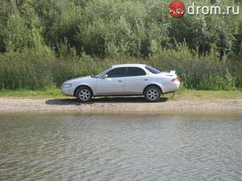 Corolla Ceres