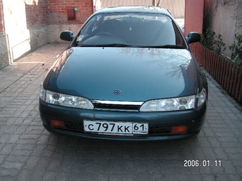 Toyota Corolla Ceres